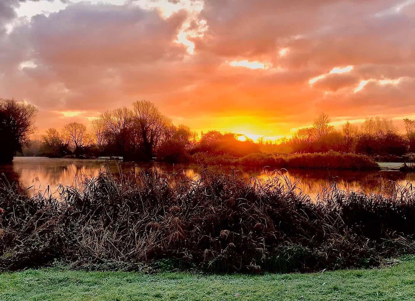 Vibrant autumn sunset over river with trees and tall grass, scenic nature landscape, tranquil outdoor moment.
